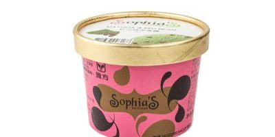 Paper Double Layer Ice Cream Cup (4)